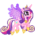 Cadence 👑