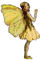 Small fairy