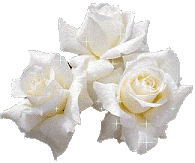 White roses