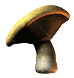Spinning mushroom